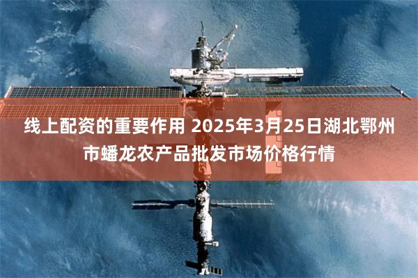 线上配资的重要作用 2025年3月25日湖北鄂州市蟠龙农产品批发市场价格行情