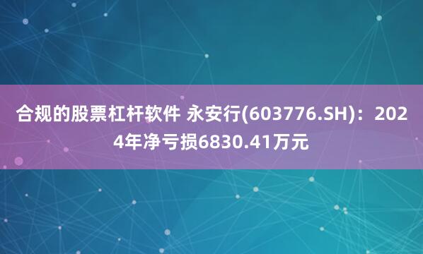 合规的股票杠杆软件 永安行(603776.SH)：2024年净亏损6830.41万元