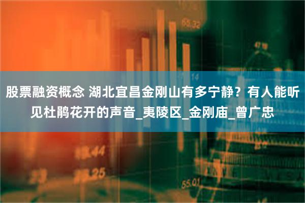 股票融资概念 湖北宜昌金刚山有多宁静？有人能听见杜鹃花开的声音_夷陵区_金刚庙_曾广忠