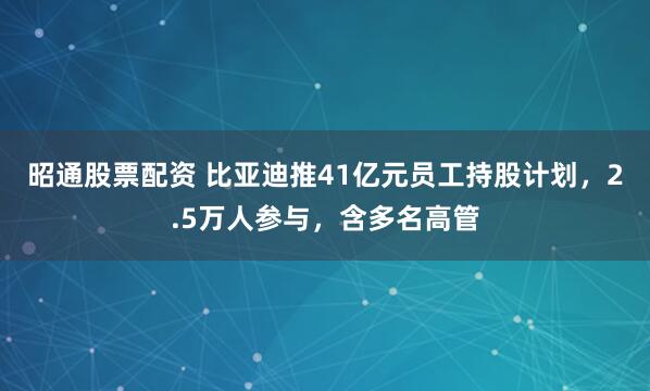 昭通股票配资 比亚迪推41亿元员工持股计划，2.5万人参与，含多名高管