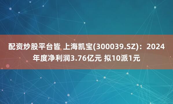 配资炒股平台皆 上海凯宝(300039.SZ)：2024年度净利润3.76亿元 拟10派1元