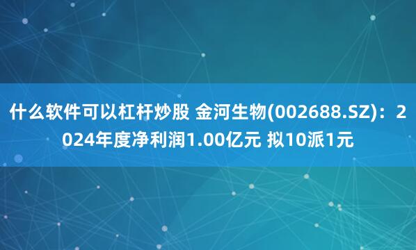 什么软件可以杠杆炒股 金河生物(002688.SZ)：2024年度净利润1.00亿元 拟10派1元