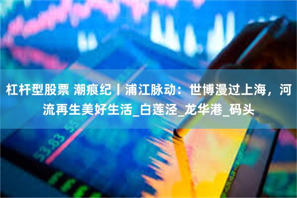 杠杆型股票 潮痕纪丨浦江脉动：世博漫过上海，河流再生美好生活_白莲泾_龙华港_码头