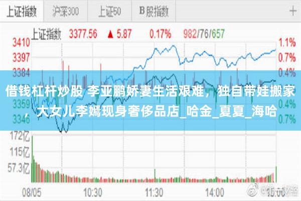 借钱杠杆炒股 李亚鹏娇妻生活艰难，独自带娃搬家，大女儿李嫣现身奢侈品店_哈金_夏夏_海哈
