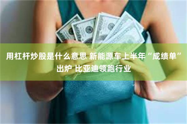 用杠杆炒股是什么意思 新能源车上半年“成绩单”出炉 比亚迪领跑行业